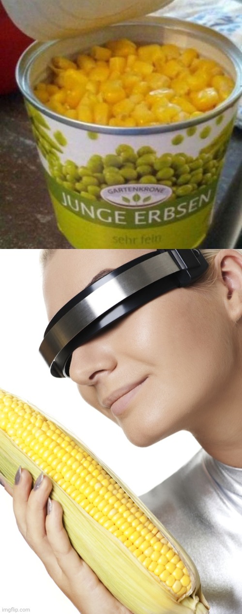 Corn | image tagged in robot corn lady,corn,you had one job,memes,peas,not really peas in the can | made w/ Imgflip meme maker