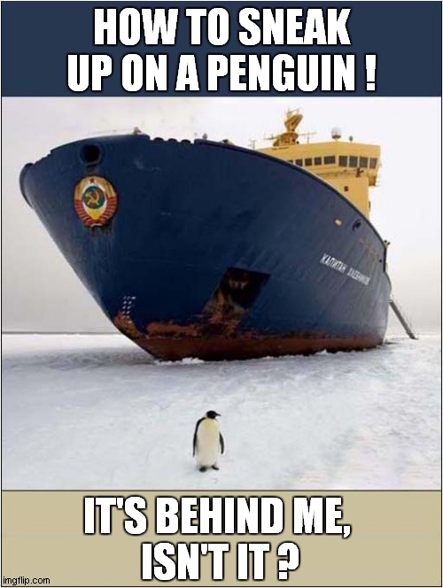 Oh Those Crazy Russians ! | HOW TO SNEAK UP ON A PENGUIN ! IT'S BEHIND ME, 
ISN'T IT ? | image tagged in penguin,ship,it's behind you | made w/ Imgflip meme maker