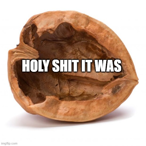Nutshell | HOLY SHIT IT WAS | image tagged in nutshell | made w/ Imgflip meme maker