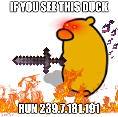 IF YOU SEE THIS DUCK; RUN 239.7.181.191 | image tagged in duck | made w/ Imgflip meme maker