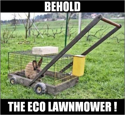 Mows The Grass At One Square Yard Per Day ! |  BEHOLD; THE ECO LAWNMOWER ! | image tagged in fun,lawnmower,rabbit,ecology | made w/ Imgflip meme maker