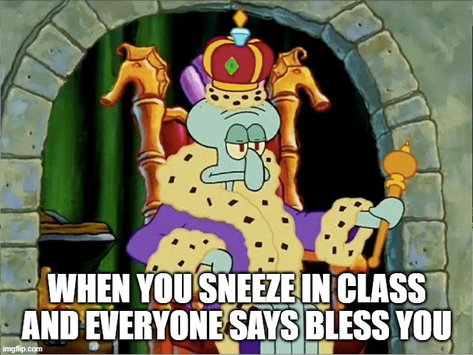 WHEN YOU SNEEZE IN CLASS AND EVERYONE SAYS BLESS YOU | made w/ Imgflip meme maker