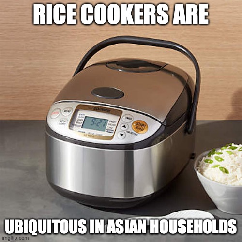 Rice Cooker | RICE COOKERS ARE; UBIQUITOUS IN ASIAN HOUSEHOLDS | image tagged in rice cooker,memes,appliances | made w/ Imgflip meme maker