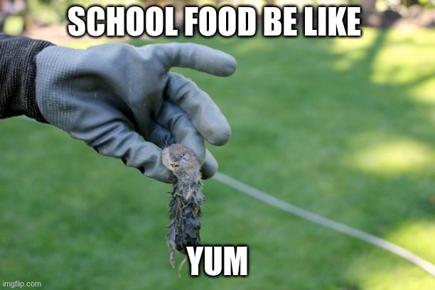 SCHOOL FOOD BE LIKE; YUM | made w/ Imgflip meme maker