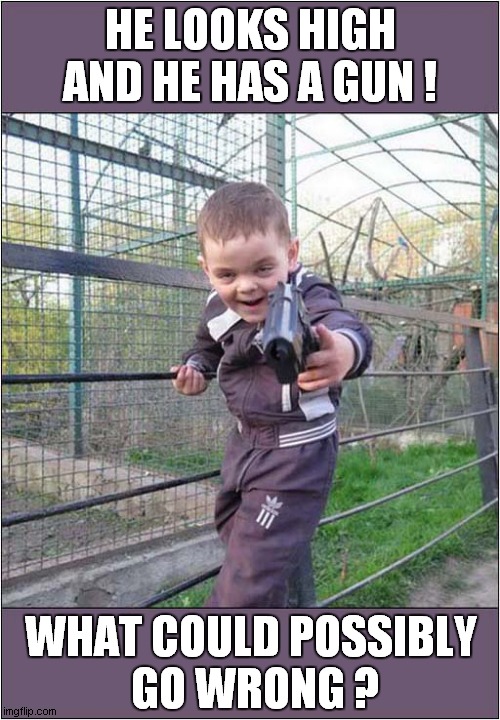 A Fun Day Out At The Zoo ! | HE LOOKS HIGH AND HE HAS A GUN ! WHAT COULD POSSIBLY
 GO WRONG ? | image tagged in zoo,evil toddler,high,gun,dark humour | made w/ Imgflip meme maker