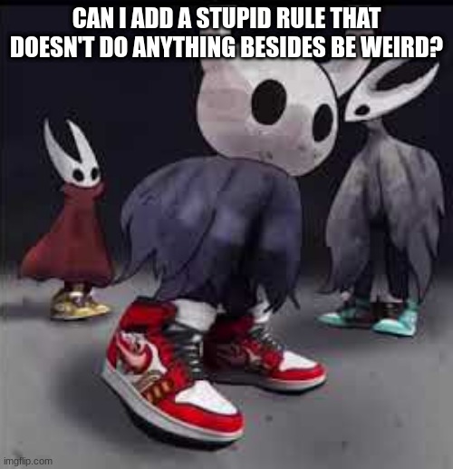 Hollow Knight Drip | CAN I ADD A STUPID RULE THAT DOESN'T DO ANYTHING BESIDES BE WEIRD? | image tagged in hollow knight drip | made w/ Imgflip meme maker