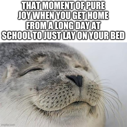 The best feeling ever. | THAT MOMENT OF PURE JOY WHEN YOU GET HOME FROM A LONG DAY AT SCHOOL TO JUST LAY ON YOUR BED | image tagged in memes,satisfied seal,barney will eat all of your delectable biscuits,cute,oh wow are you actually reading these tags | made w/ Imgflip meme maker