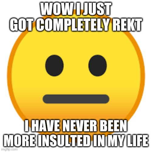 Wow so funny | WOW I JUST GOT COMPLETELY REKT I HAVE NEVER BEEN MORE INSULTED IN MY LIFE | image tagged in wow so funny | made w/ Imgflip meme maker