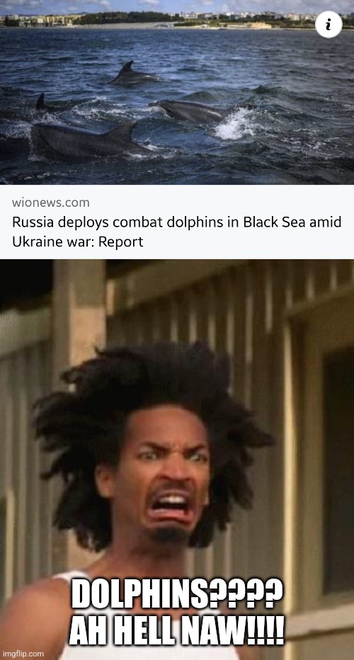 soviet dolphins | DOLPHINS???? AH HELL NAW!!!! | image tagged in kinky's nudes,russia,ukraine,dolphins,wuatafak,memes | made w/ Imgflip meme maker