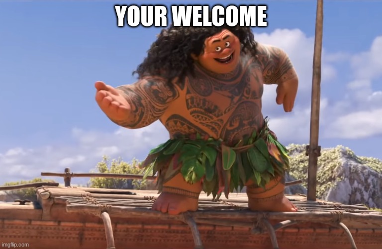 you're welcome without subs | YOUR WELCOME | image tagged in you're welcome without subs | made w/ Imgflip meme maker
