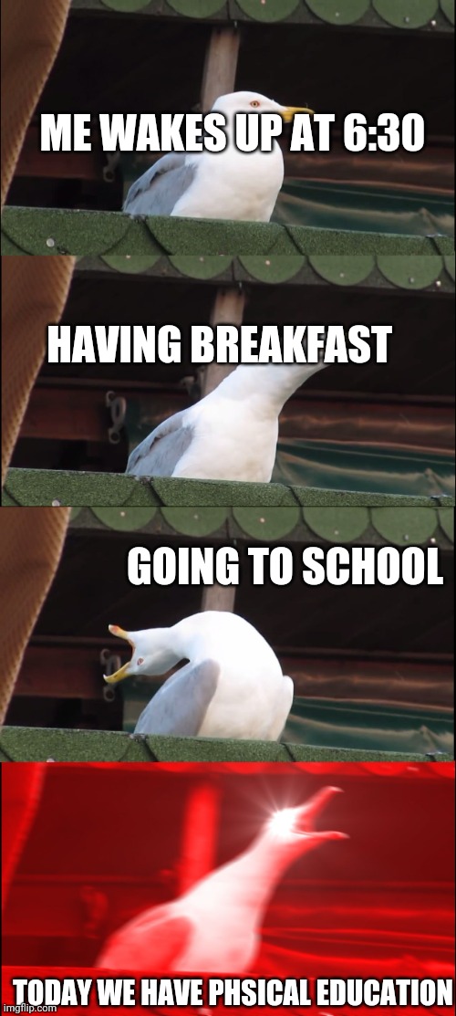 Inhaling Seagull | ME WAKES UP AT 6:30; HAVING BREAKFAST; GOING TO SCHOOL; TODAY WE HAVE PHSICAL EDUCATION | image tagged in memes,inhaling seagull | made w/ Imgflip meme maker