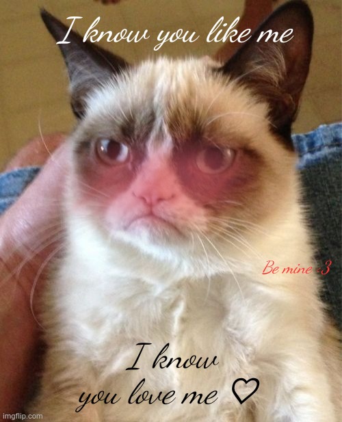 Be mine hooman <3 | I know you like me; Be mine <3; I know you love me ♡⋆ | image tagged in memes,grumpy cat | made w/ Imgflip meme maker