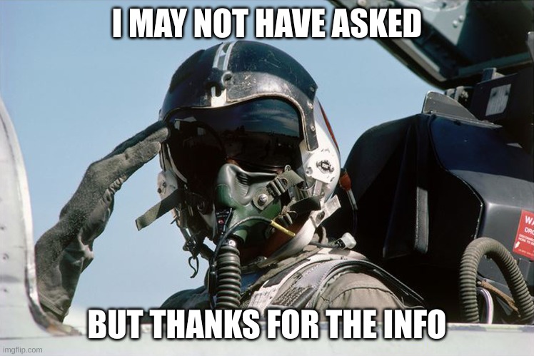 Fighter Jet Pilot Salute | I MAY NOT HAVE ASKED BUT THANKS FOR THE INFO | image tagged in fighter jet pilot salute | made w/ Imgflip meme maker