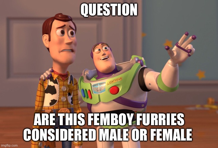 X, X Everywhere Meme | QUESTION ARE THIS FEMBOY FURRIES CONSIDERED MALE OR FEMALE | image tagged in memes,x x everywhere | made w/ Imgflip meme maker