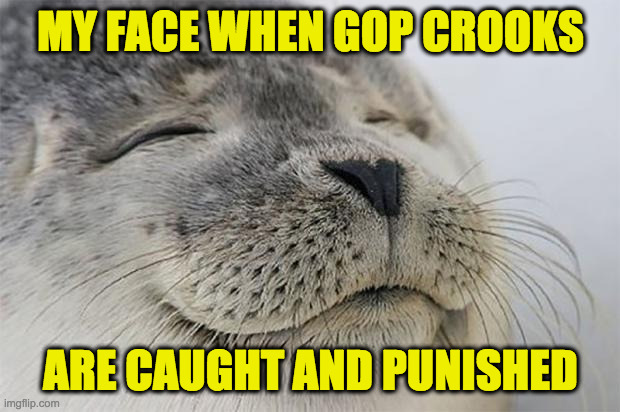 Hope to be making this face a lot more. | MY FACE WHEN GOP CROOKS ARE CAUGHT AND PUNISHED | image tagged in memes,satisfied seal,gop crooks | made w/ Imgflip meme maker