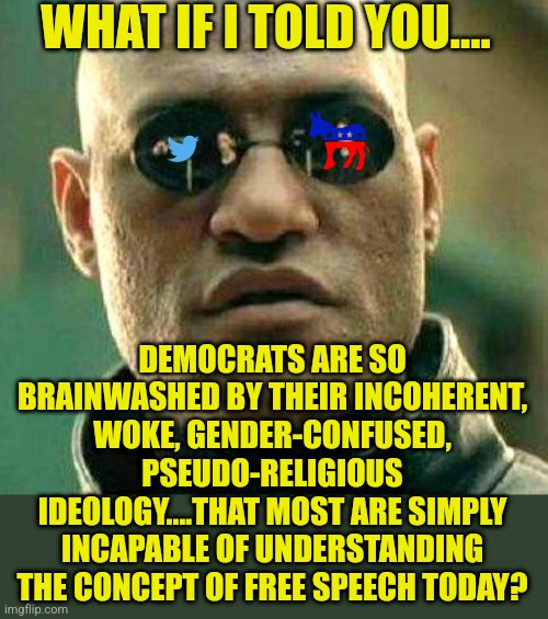 Biden want to form a Disinformation Governance Board for the 2022 midterms. I guess that was not necessary in 2020? |  WHAT IF I TOLD YOU.... DEMOCRATS ARE SO BRAINWASHED BY THEIR INCOHERENT, WOKE, GENDER-CONFUSED, PSEUDO-RELIGIOUS IDEOLOGY....THAT MOST ARE SIMPLY INCAPABLE OF UNDERSTANDING THE CONCEPT OF FREE SPEECH TODAY? | image tagged in what if i told you,democrats,liberals,liberal hypocrisy,lies,tyranny | made w/ Imgflip meme maker