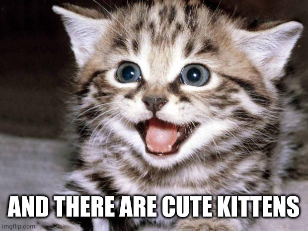 Cute Kitten Hopes | AND THERE ARE CUTE KITTENS | image tagged in cute kitten hopes | made w/ Imgflip meme maker