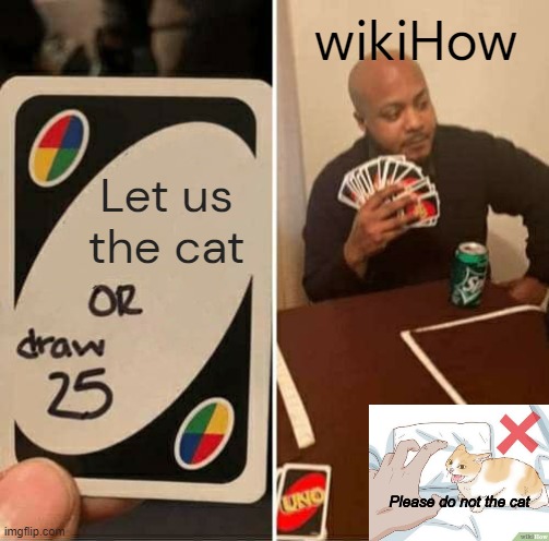 p l e a s e d o n o t t h e c a t | wikiHow; Let us the cat | image tagged in memes,uno draw 25 cards,please do not the cat,wikihow | made w/ Imgflip meme maker