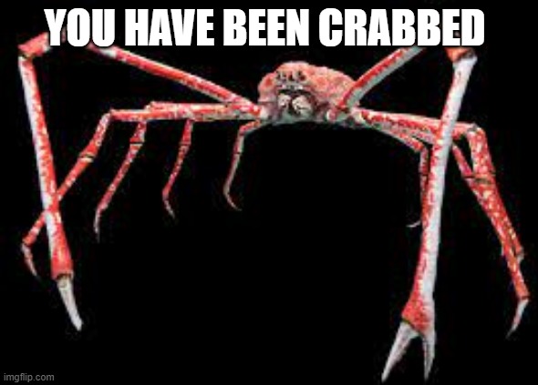 crab |  YOU HAVE BEEN CRABBED | image tagged in crab | made w/ Imgflip meme maker