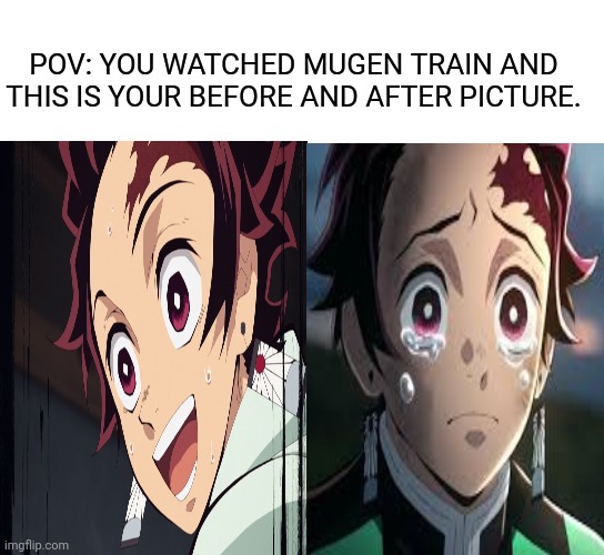 So sad.. | POV: YOU WATCHED MUGEN TRAIN AND THIS IS YOUR BEFORE AND AFTER PICTURE. | image tagged in memes,sad | made w/ Imgflip meme maker