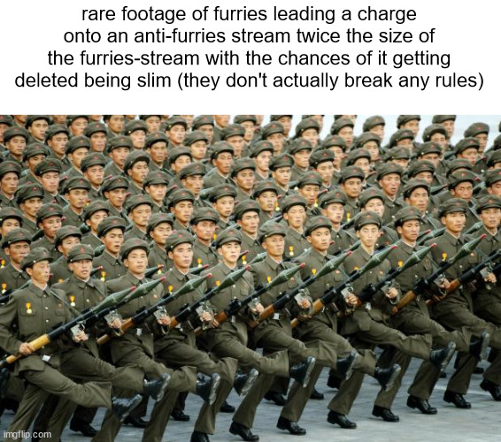 trolling | rare footage of furries leading a charge onto an anti-furries stream twice the size of the furries-stream with the chances of it getting deleted being slim (they don't actually break any rules) | image tagged in shitpost status | made w/ Imgflip meme maker