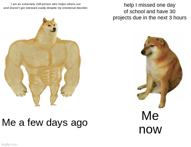 Me in a nutshell: | I am an extremely chill person who helps others out and doesn't get stressed easily despite my emotional disorder. help I missed one day of school and have 30 projects due in the next 3 hours; Me a few days ago; Me
now | image tagged in memes,buff doge vs cheems | made w/ Imgflip meme maker