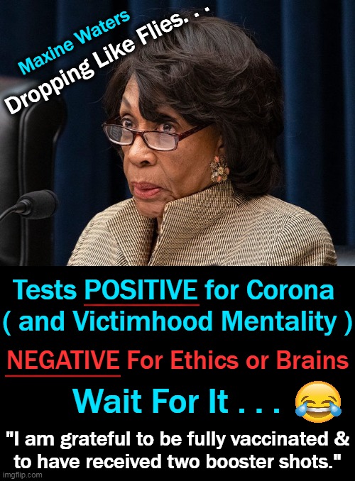Me? No Jabs, No Coronavirus. And Maxine? Fully Jabbed & Boosted, Coronavirus. | Maxine Waters; Dropping Like Flies. . . Tests POSITIVE for Corona 
( and Victimhood Mentality ); NEGATIVE For Ethics or Brains; Wait For It . . . "I am grateful to be fully vaccinated &
to have received two booster shots." | image tagged in politics,maxine waters,mad max,coronavirus,vaccines,you still get it and spread it | made w/ Imgflip meme maker