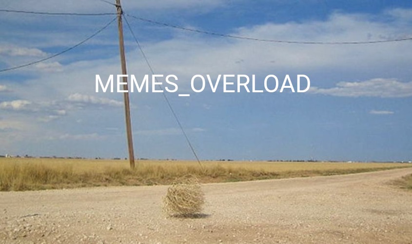 Tumbleweed | MEMES_OVERLOAD | image tagged in memes | made w/ Imgflip meme maker
