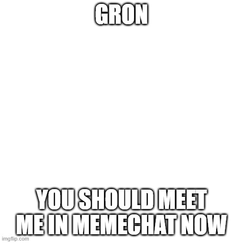 educational purposes why i want to memechat him | GRON; YOU SHOULD MEET ME IN MEMECHAT NOW | image tagged in memes,blank transparent square | made w/ Imgflip meme maker