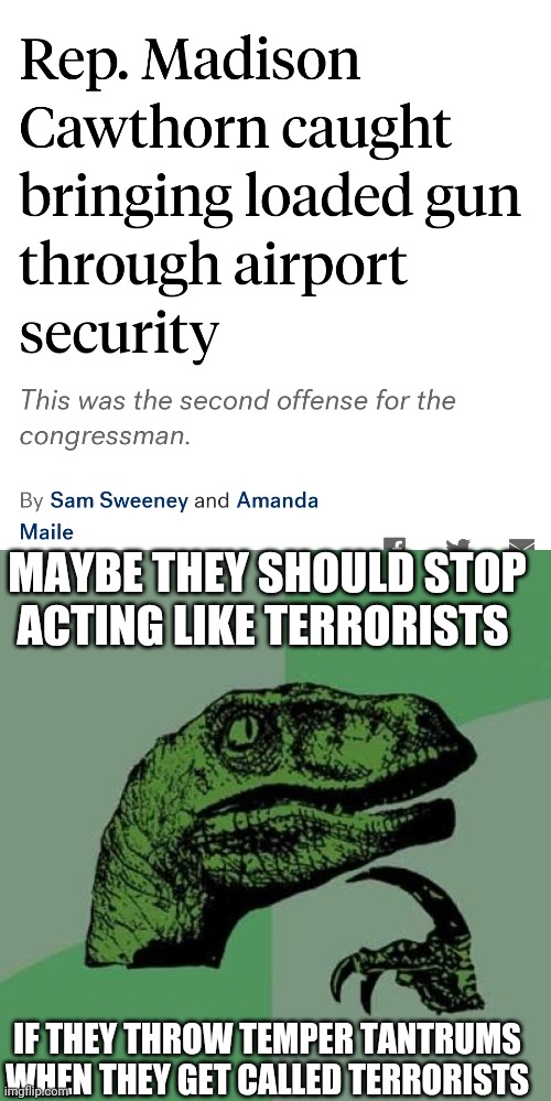 Apparently vegetables *can* kill | MAYBE THEY SHOULD STOP ACTING LIKE TERRORISTS; IF THEY THROW TEMPER TANTRUMS WHEN THEY GET CALLED TERRORISTS | image tagged in memes,philosoraptor,scumbag republicans,terrorists,terrorist | made w/ Imgflip meme maker