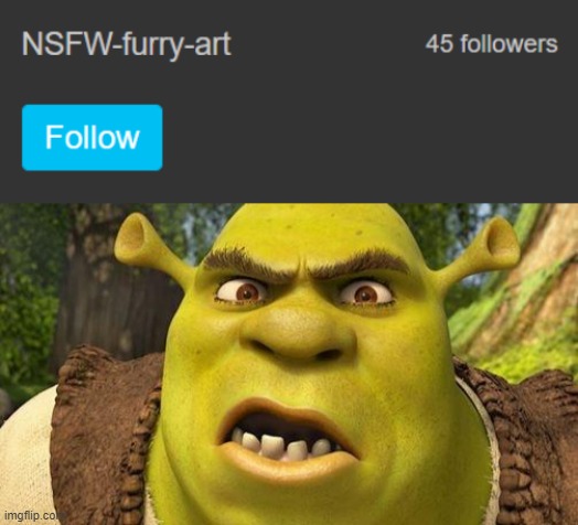 image tagged in shrek autism | made w/ Imgflip meme maker