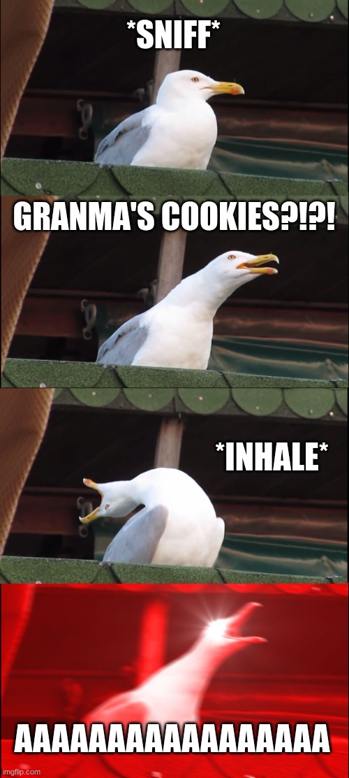 Grandma? | *SNIFF*; GRANMA'S COOKIES?!?! *INHALE*; AAAAAAAAAAAAAAAAA | image tagged in memes,inhaling seagull | made w/ Imgflip meme maker