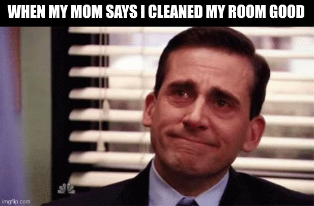 Happy Cry | WHEN MY MOM SAYS I CLEANED MY ROOM GOOD | image tagged in happy cry | made w/ Imgflip meme maker