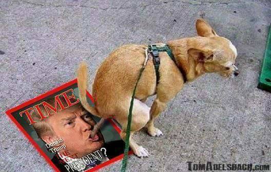 Dog Poops in Trump's Mouth, meets other poop coming out Blank Meme Template