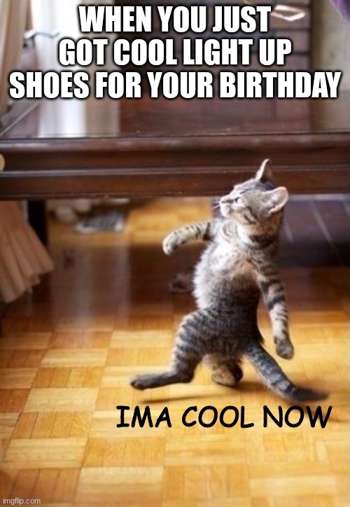 Cool Cat Stroll Meme | WHEN YOU JUST GOT COOL LIGHT UP SHOES FOR YOUR BIRTHDAY; IMA COOL NOW | image tagged in memes,cool cat stroll | made w/ Imgflip meme maker