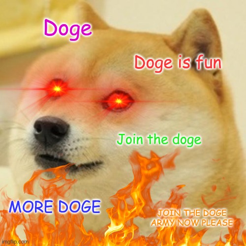 Join Doge | Doge; Doge is fun; Join the doge; MORE DOGE; JOIN THE DOGE ARMY NOW PLEASE | image tagged in doge | made w/ Imgflip meme maker