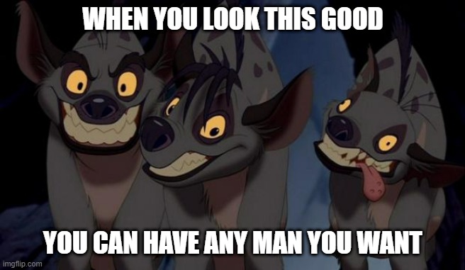 Lion King Hyenas | WHEN YOU LOOK THIS GOOD; YOU CAN HAVE ANY MAN YOU WANT | image tagged in lion king hyenas | made w/ Imgflip meme maker
