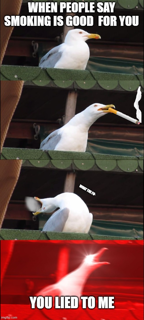Inhaling Seagull | WHEN PEOPLE SAY SMOKING IS GOOD  FOR YOU; WHAT THE FU-; YOU LIED TO ME | image tagged in smoking,you lied to me,no,wth is wrong with you,im going to kill u | made w/ Imgflip meme maker