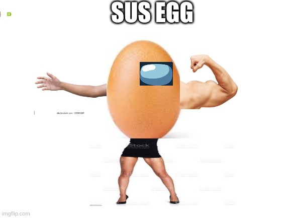 Blank White Template | SUS EGG | image tagged in egg | made w/ Imgflip meme maker