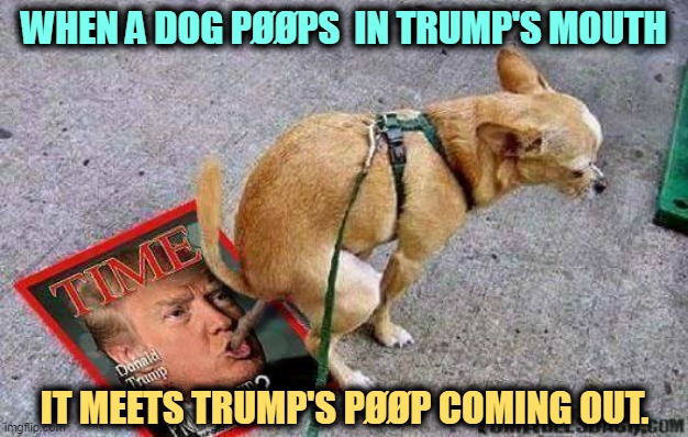 Looking forward to 2024? Really? | WHEN A DOG PØØPS  IN TRUMP'S MOUTH; IT MEETS TRUMP'S PØØP COMING OUT. | image tagged in dog poops in trump's mouth meets other poop coming out,dog,business,trump,mouth | made w/ Imgflip meme maker