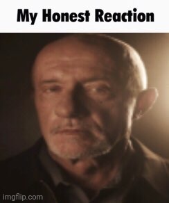 My Honest Reaction | image tagged in my honest reaction | made w/ Imgflip meme maker