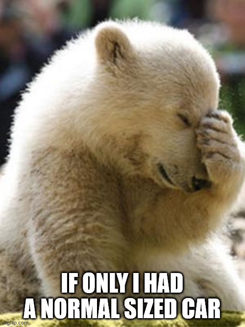 Facepalm Bear Meme | IF ONLY I HAD A NORMAL SIZED CAR | image tagged in memes,facepalm bear | made w/ Imgflip meme maker