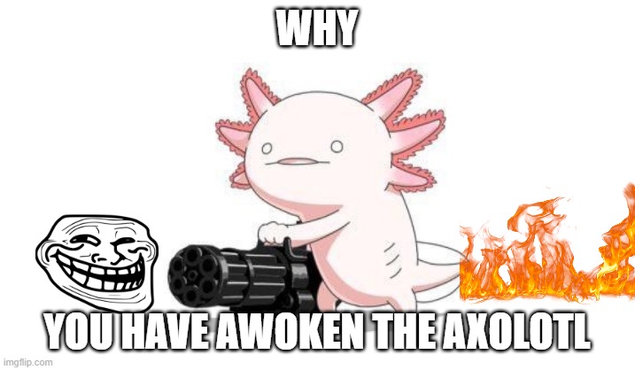 Axolotl Destrokyer | WHY; YOU HAVE AWOKEN THE AXOLOTL | image tagged in axolotl gun | made w/ Imgflip meme maker