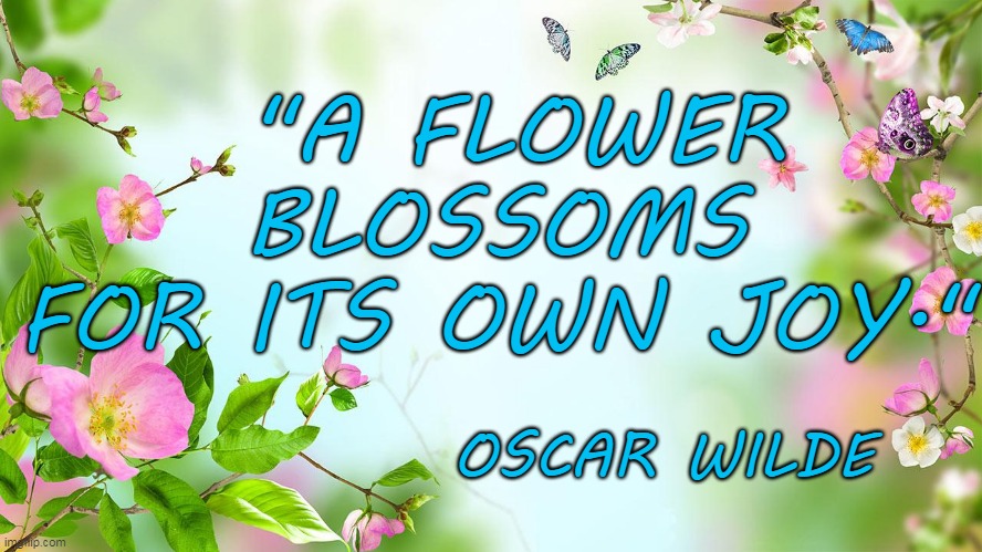flowers | "A FLOWER BLOSSOMS FOR ITS OWN JOY."; OSCAR WILDE | image tagged in flowers,oscar wilde | made w/ Imgflip meme maker