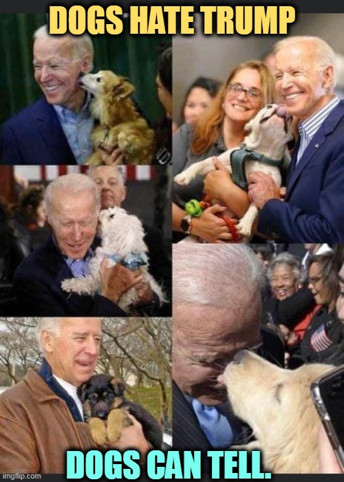 DOGS HATE TRUMP; DOGS CAN TELL. | image tagged in dogs,love,biden,hate,trump | made w/ Imgflip meme maker