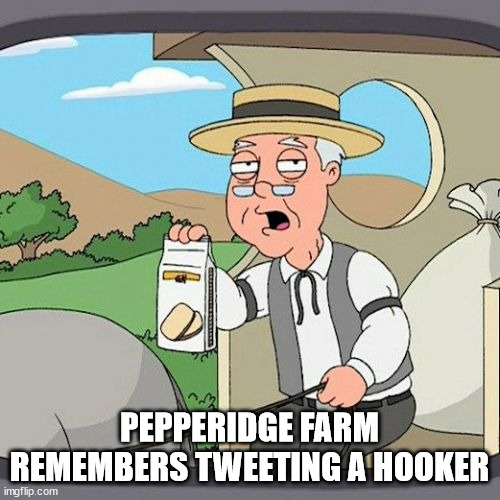 Pepperidge Farm Remembers Meme | PEPPERIDGE FARM REMEMBERS TWEETING A HOOKER | image tagged in memes,pepperidge farm remembers | made w/ Imgflip meme maker