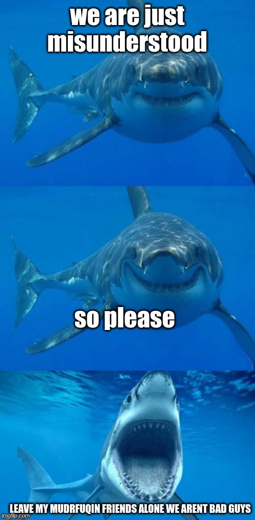 Bad Shark Pun  | we are just misunderstood so please LEAVE MY MUDRFUQIN FRIENDS ALONE WE ARENT BAD GUYS | image tagged in bad shark pun | made w/ Imgflip meme maker