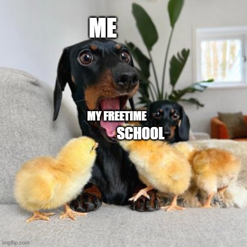 Idk okay | ME; MY FREETIME; SCHOOL | image tagged in chick biting dog,school,school meme | made w/ Imgflip meme maker