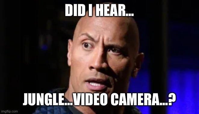 ACTION | DID I HEAR…; JUNGLE…VIDEO CAMERA…? | image tagged in dwayne johnson,the rock | made w/ Imgflip meme maker