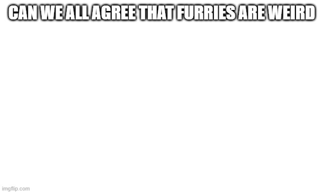 war | CAN WE ALL AGREE THAT FURRIES ARE WEIRD | image tagged in war | made w/ Imgflip meme maker